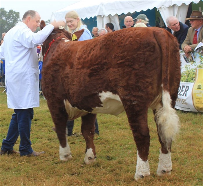 En glad Tom Harrison med kvien Moralee 1 Sparkless PR285 efter at førstepladsen var i hus.