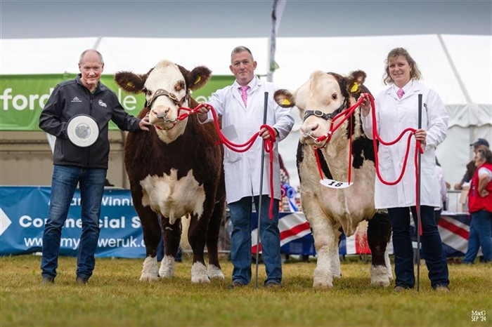 Bent overrækker vandrepokalen, The Nitram Trophy, til Keadyview Herefords for Bedste Par