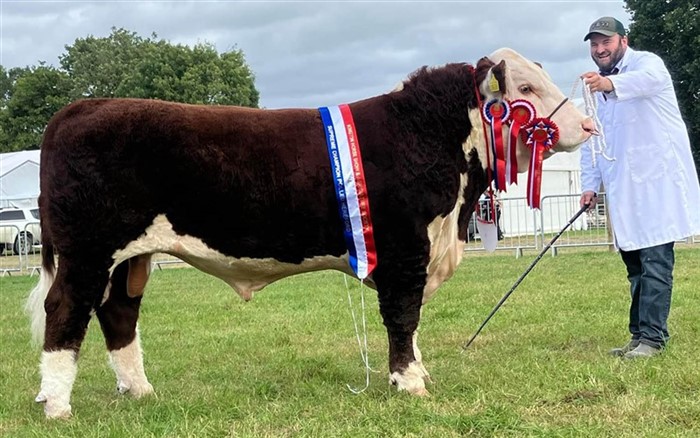 Rempstone 1 Alpha N688, Supreme Champion og Interbreed-vinder, Kington Show 2024