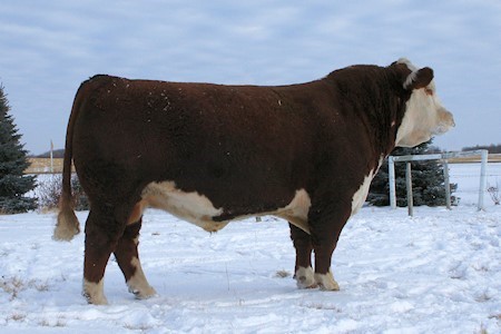 Remitall Super Duty 42S - farfars far til Rosenkær Andel 578