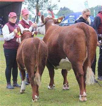 Henriette og Rasmus i ringen med Rosenkær Plum 481P og 
Rosenkær Veronica for at modtage ærespræmien