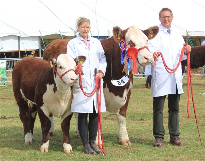 Supreme Champion, Pulham 1 Starlet 11th med kviekalv, RM 1 Starlet, f. 29.01.2025, der er efter Gouldingpoll 1 Duncan ET