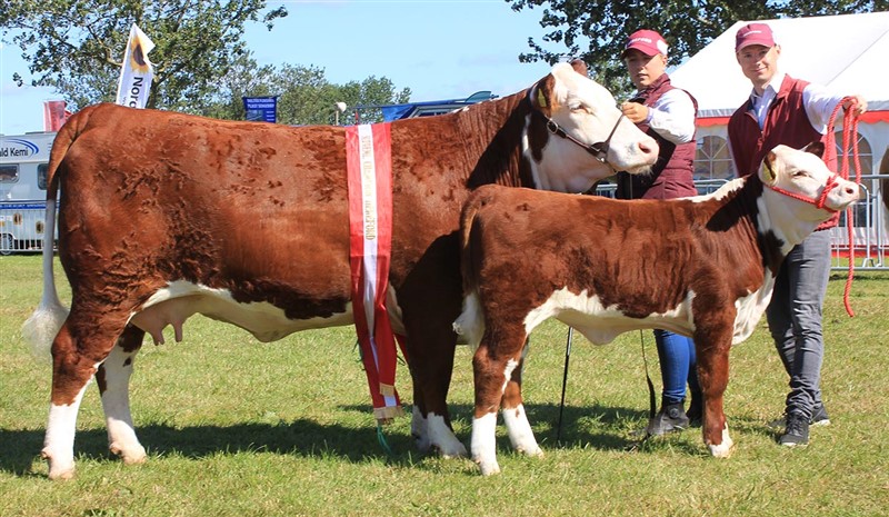 Rosenkær Make-Up - mor til Rosenkær Apache 567