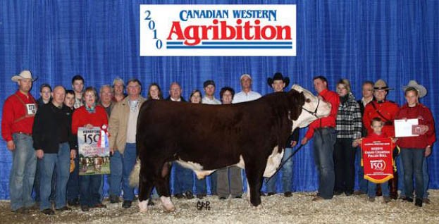 NBG 69T The Wonderer 36R ET - farmors far til Rosenkær Andrew 575