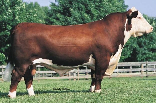 Remitall Online 122L - farfars far til Moeskær Jessica 1839