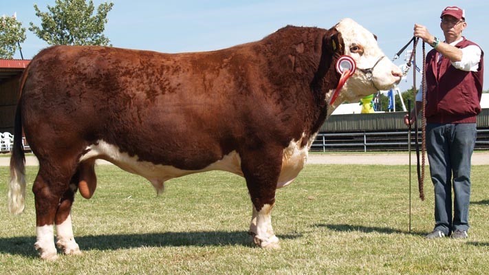 Slyks 1 Agro - mormors far til Rosenkær 549 Ulla