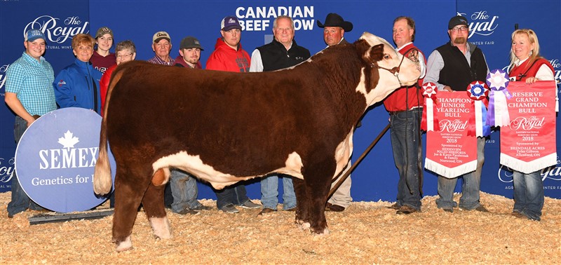 Elm-Lodge Emperor 67E - morfar til Rosenkær Ace 571