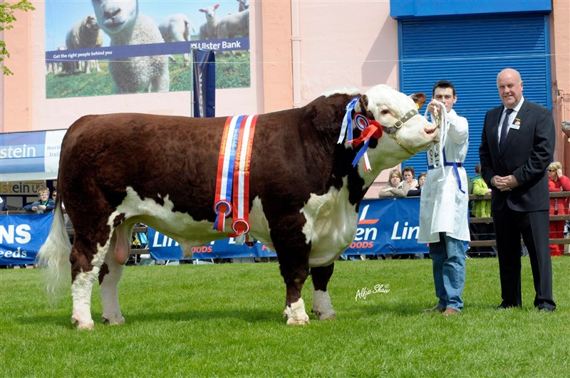 Solpoll 1 Dynamite, far til Bondes 1 Cornelia 263/291