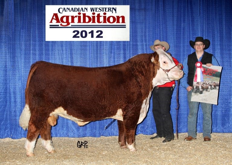 GH 8052 MVP 67Y - farfar til Rosenkær Apache 567