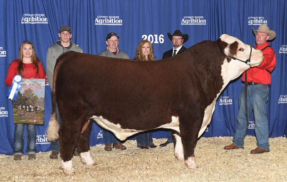 Remitall-W GD Waterloo ET 12B - farfar til Rosenkær Twiggy