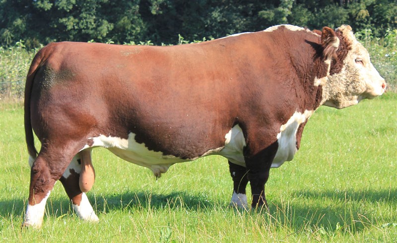 Vesour 1 Palmer - farfar til Rosenkær Argentan 572