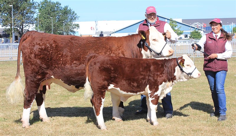 Nordbæk 1 Light 1372 - farmor til Rosenkær Annabella