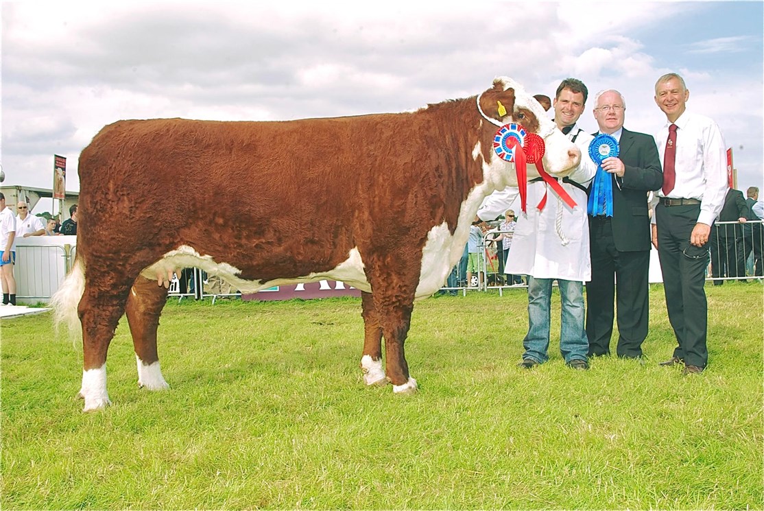 Dorepoll 1 R51 Duchess 525 - farmor til Rosenkær Blue Diamond