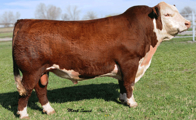 TH 122 71I Victor 719T - farfar far til Rosenkær All Love