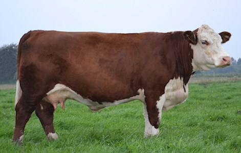 Moeskær Keepsake 1194 - farmors mor til Rosenkær Amelia