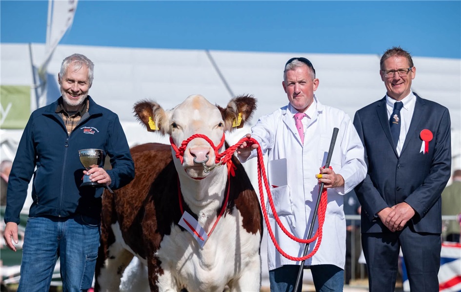 The Pernille Perpetual Trophy til kvien Pulham 1 Lucy 7th på The National Poll Hereford Show 2026 i England